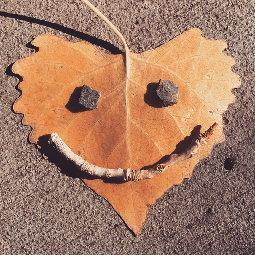 Leaf heartsmiley