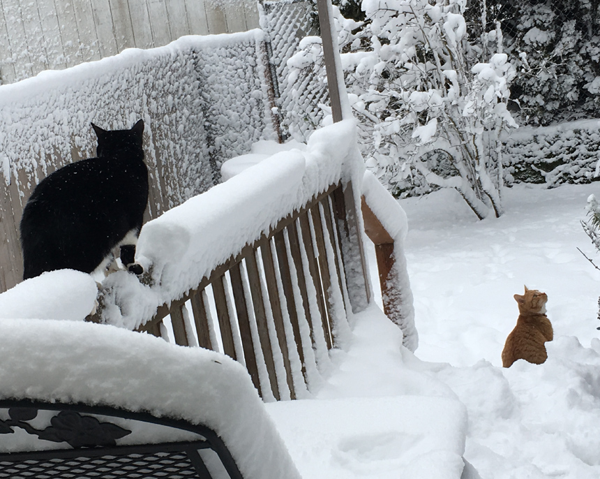 Snow Day Heartsmiley!